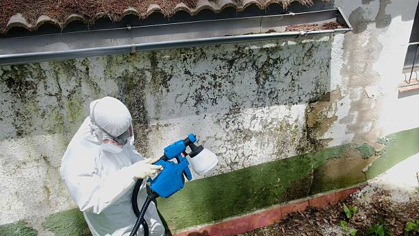 Trusted Attic Mold Removal service in East Waterford, PA - Cheap Mold Removal